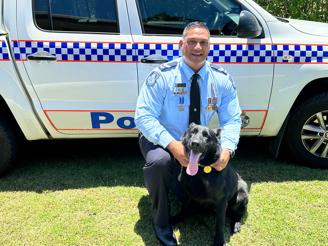 Police Dog Bravo PD381