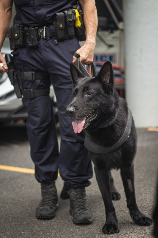Police Dog Ballast (Bally) PD407