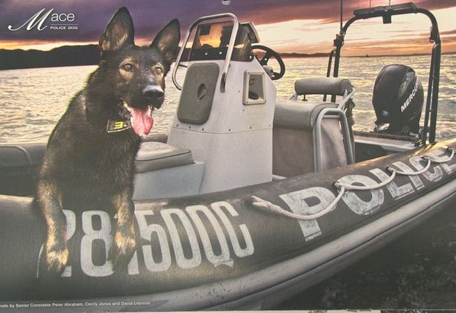 Police Dog Mace PD348