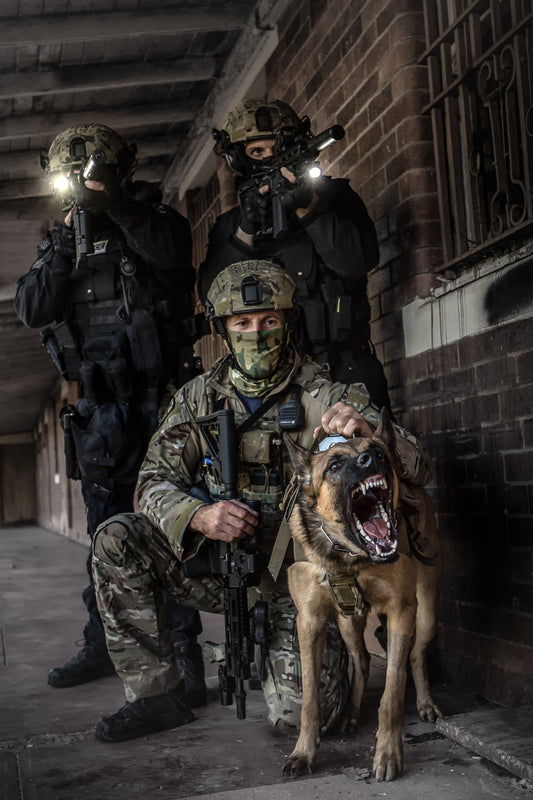 Police Dog Kuta PD290